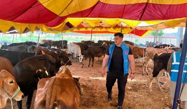 Milli güreşçi Rıza Kayaalp, TDV'nin Pakistan'daki kurban organizasyonuna katıldı