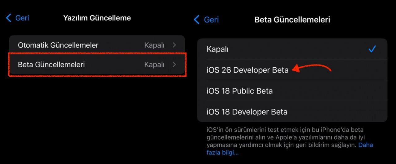 iOS 26 developer beta indirme yeri