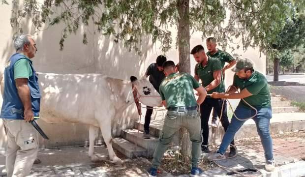 Gaziantep Büyükşehir'in kurban mesaisi yoğun geçti