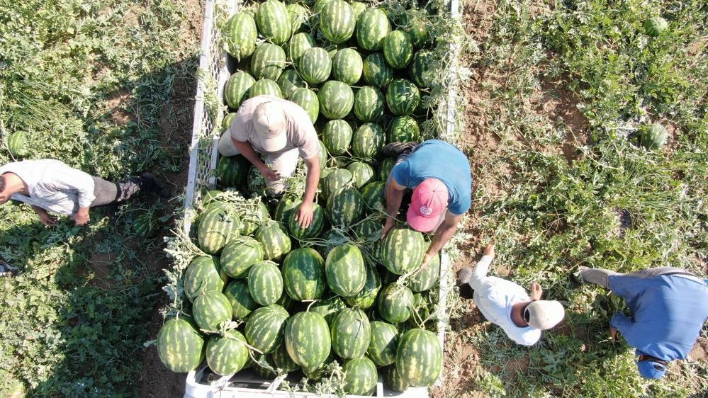Çukurova'dan sonra Türkiye'nin gözü burada
