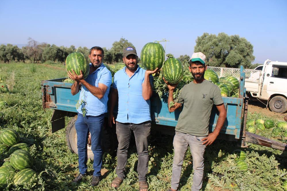 Çukurova'dan sonra Türkiye'nin gözü burada