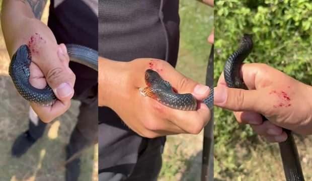 'Zararsız, öldürmeyin' dediği yılan tarafından ısırıldı