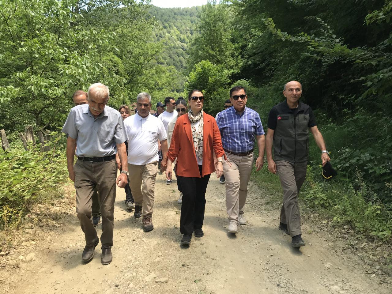Bartın Valisi Nurtan Arslan ve beraberindeki heyetin çınar ağacı ziyareti