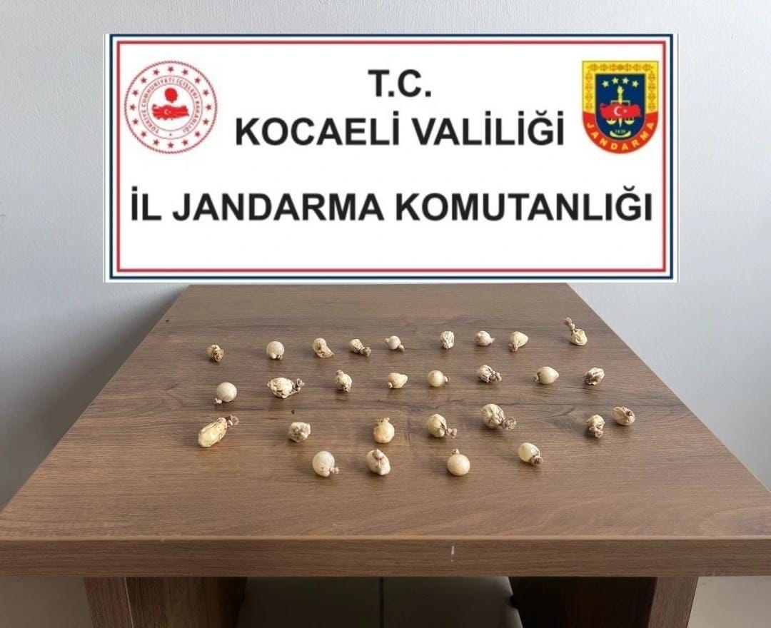 Ele geçirilen uyuşturucu kapsülleri. 