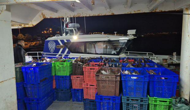 Yakaladığı 6 ton kalkan balığının sevinci kursağına dizildi: Şoke eden ceza!