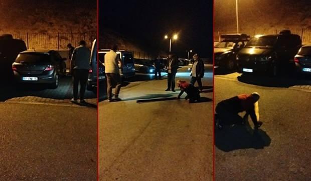 Fareler, vatandaşı alarma geçirdi: Araçların içerisine kadar girdiler