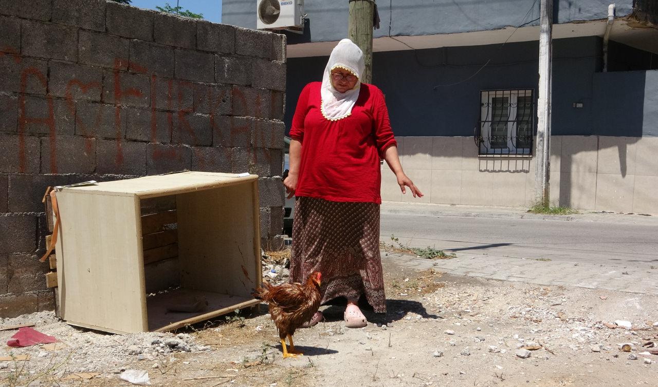 Gönül Kaya ve Gözde isimli tavuk.