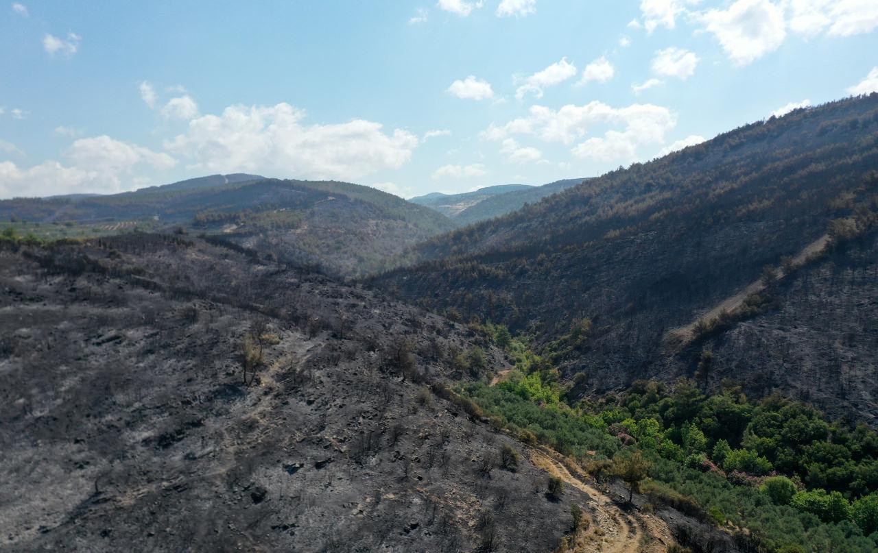 Manisa'nın Akhisar ilçesindeki orman yangınına ekiplerin havadan ve karadan müdahalesi devam ediyor.