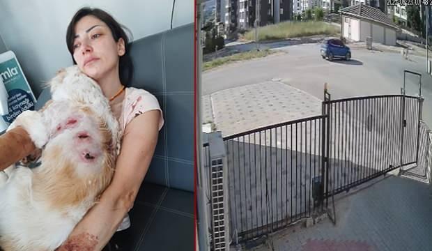 Bursa'da kangal dehşeti yaşayan kadın: 'Bacağımın arkasını parçaladılar'