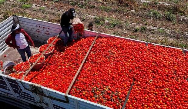 Daha az ihra&ccedil; edildi, daha &ccedil;ok kazandırdı! 