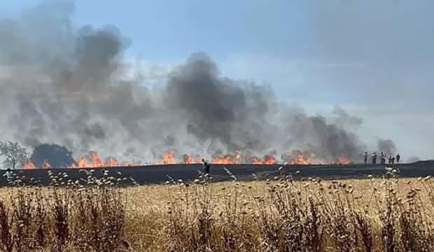 Bursa'da anız yangınında alevler zeytinliğe sıçradı