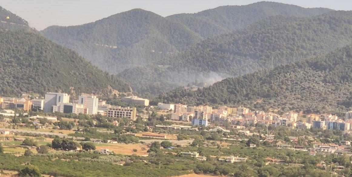 İzmir'de orman yangını
