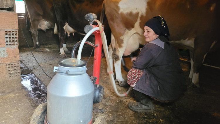 Hamide Şeker
