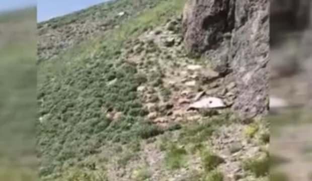 Yüksekova'da uçurumdan atlayan çok sayıda koyun telef oldu