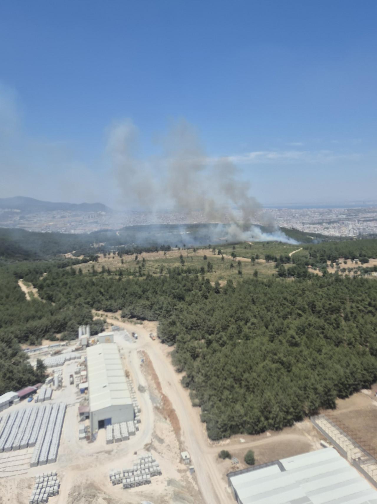 İzmir'in Buca ilçesinde orman yangını