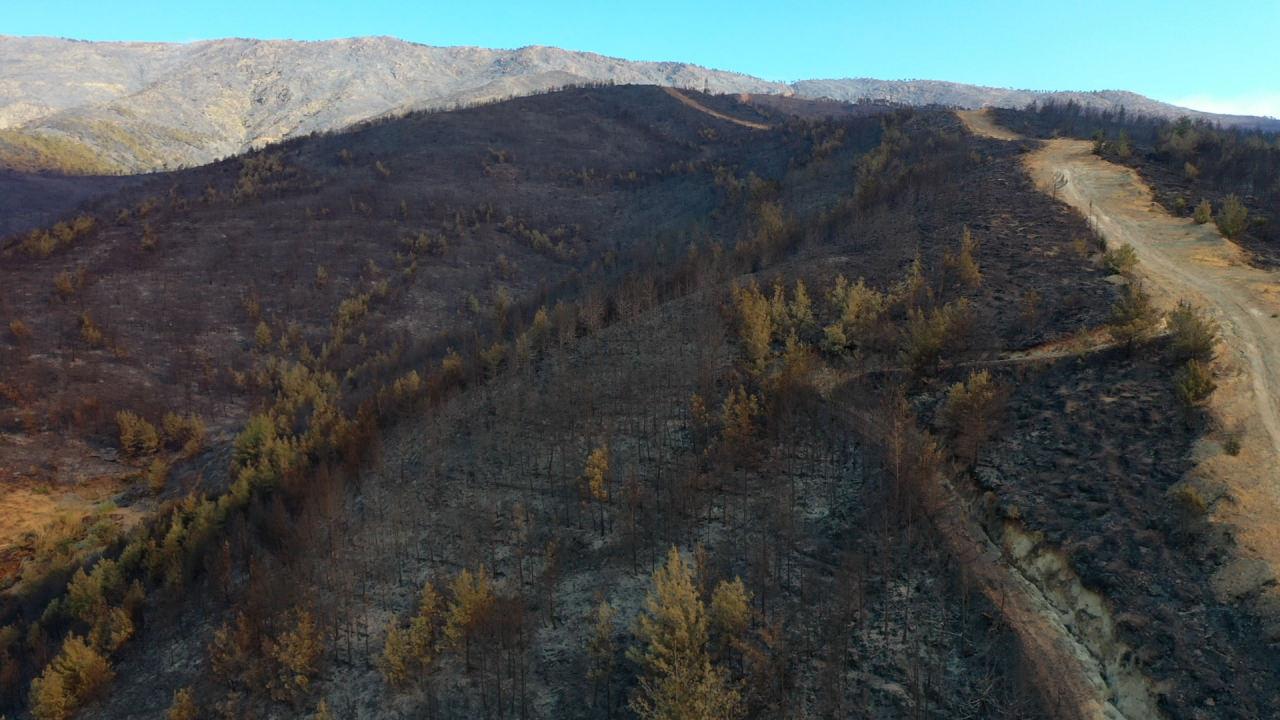 Antakya ilçesinde devam eden orman yangınında zarar gören yerler havadan görüntülendi.