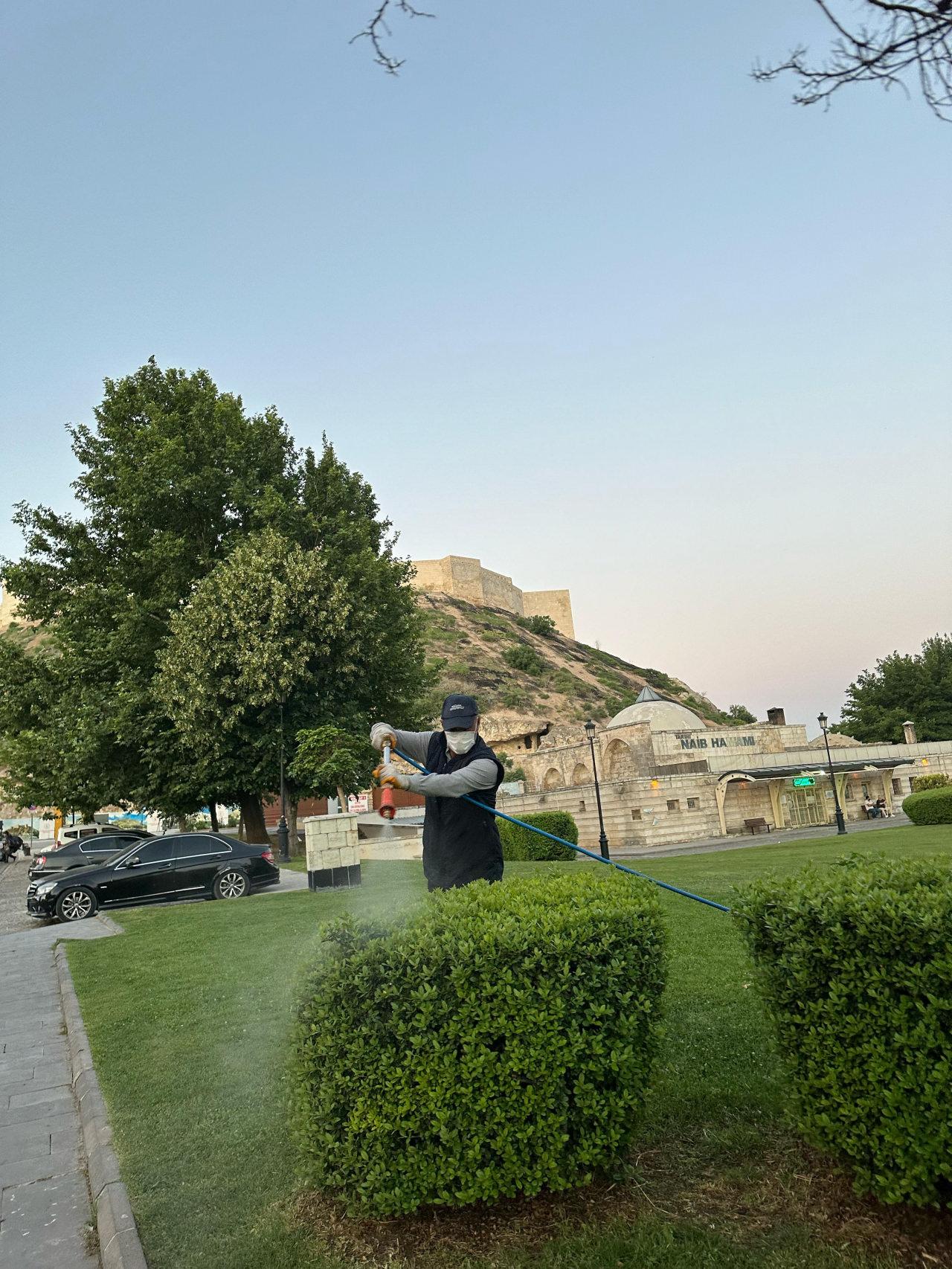 Park ve bahçeler ilaçlanıyor.