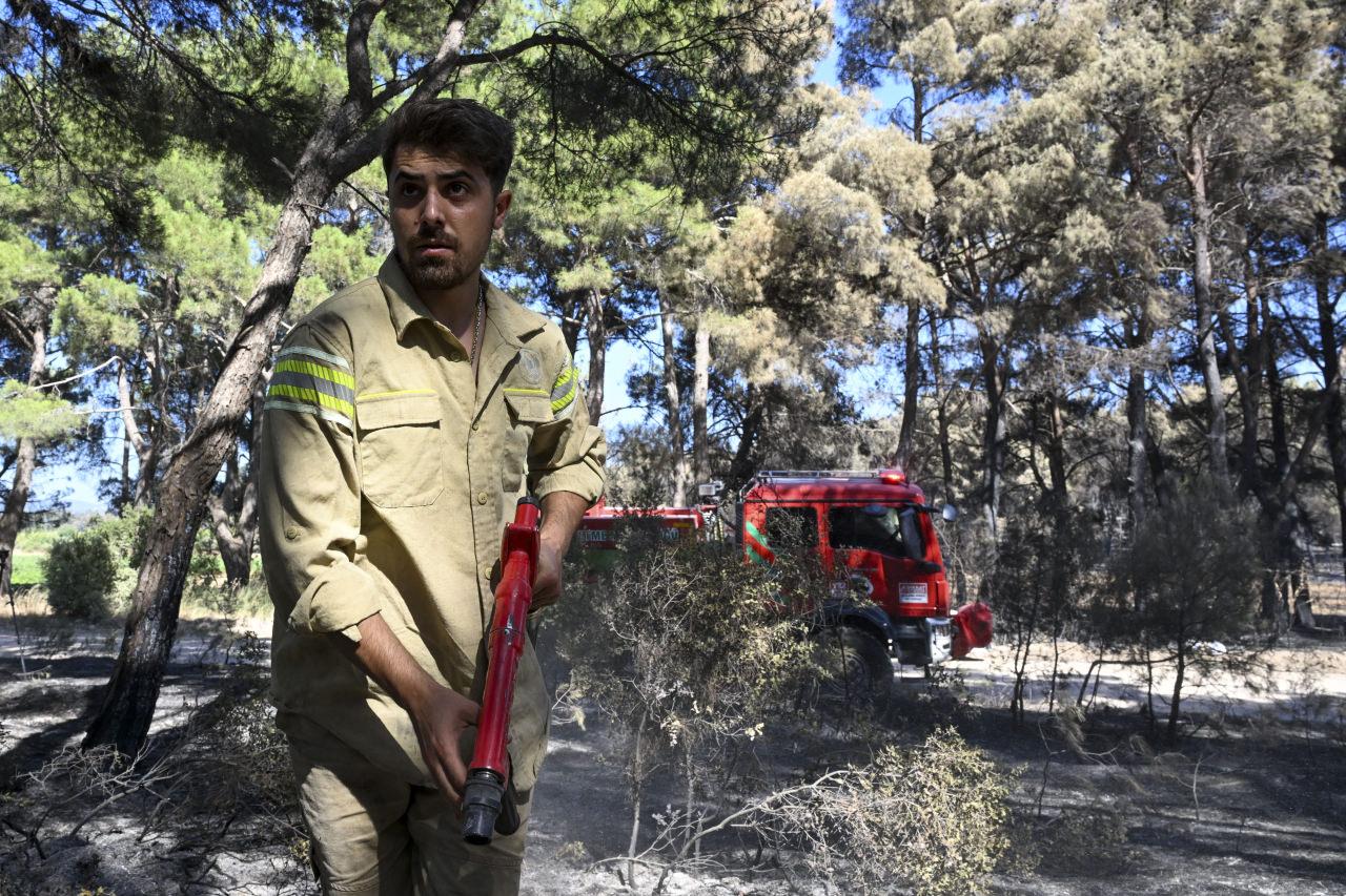 Orman işçisi Murat Parlak