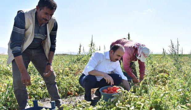Başkan Altay 2026 yılı Tarımsal Destek Başvurularının başladığını duyurdu