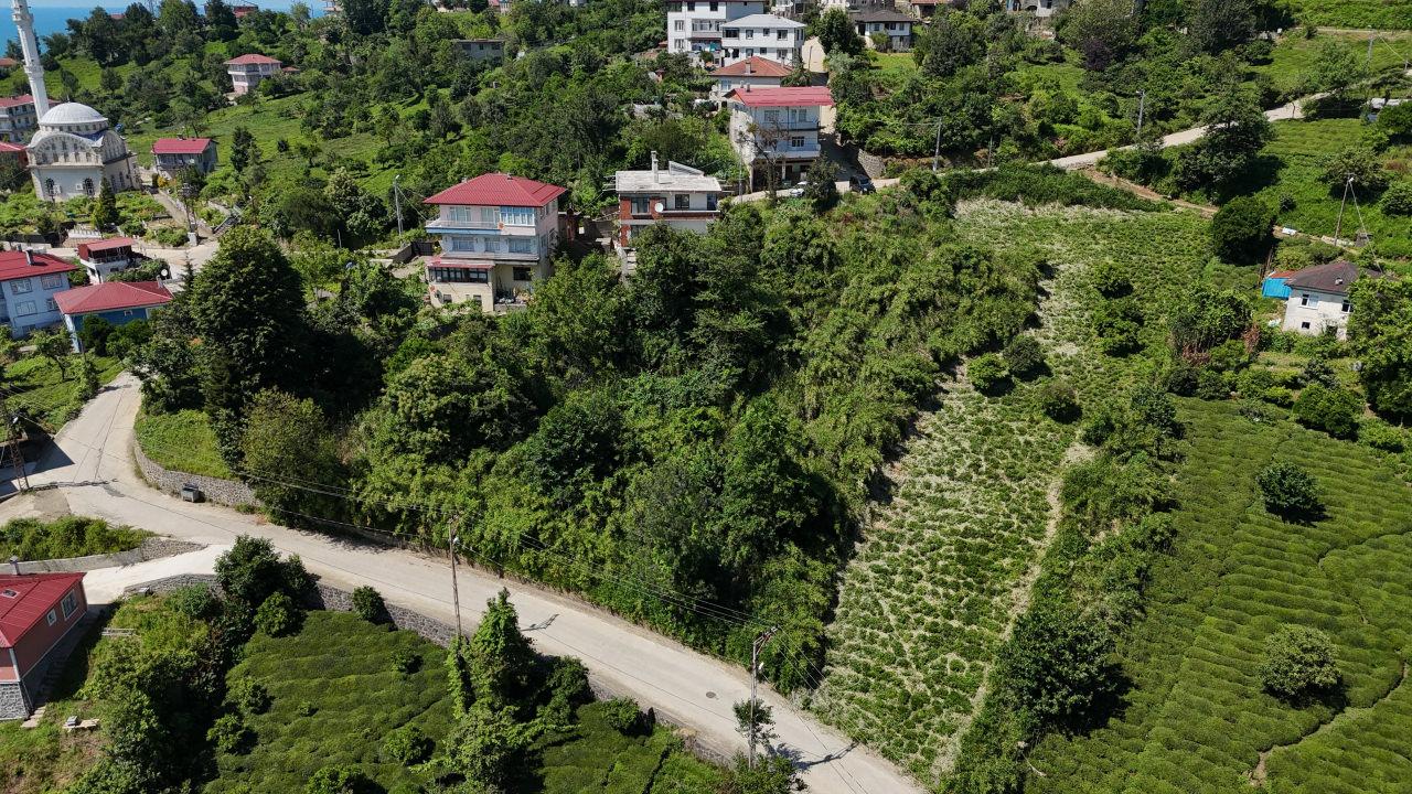 Eriklimanı Mahallesi'nin görüntüsü. 