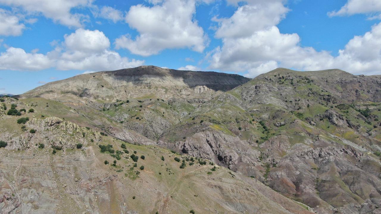 Ceset, eşek ile taşındı.