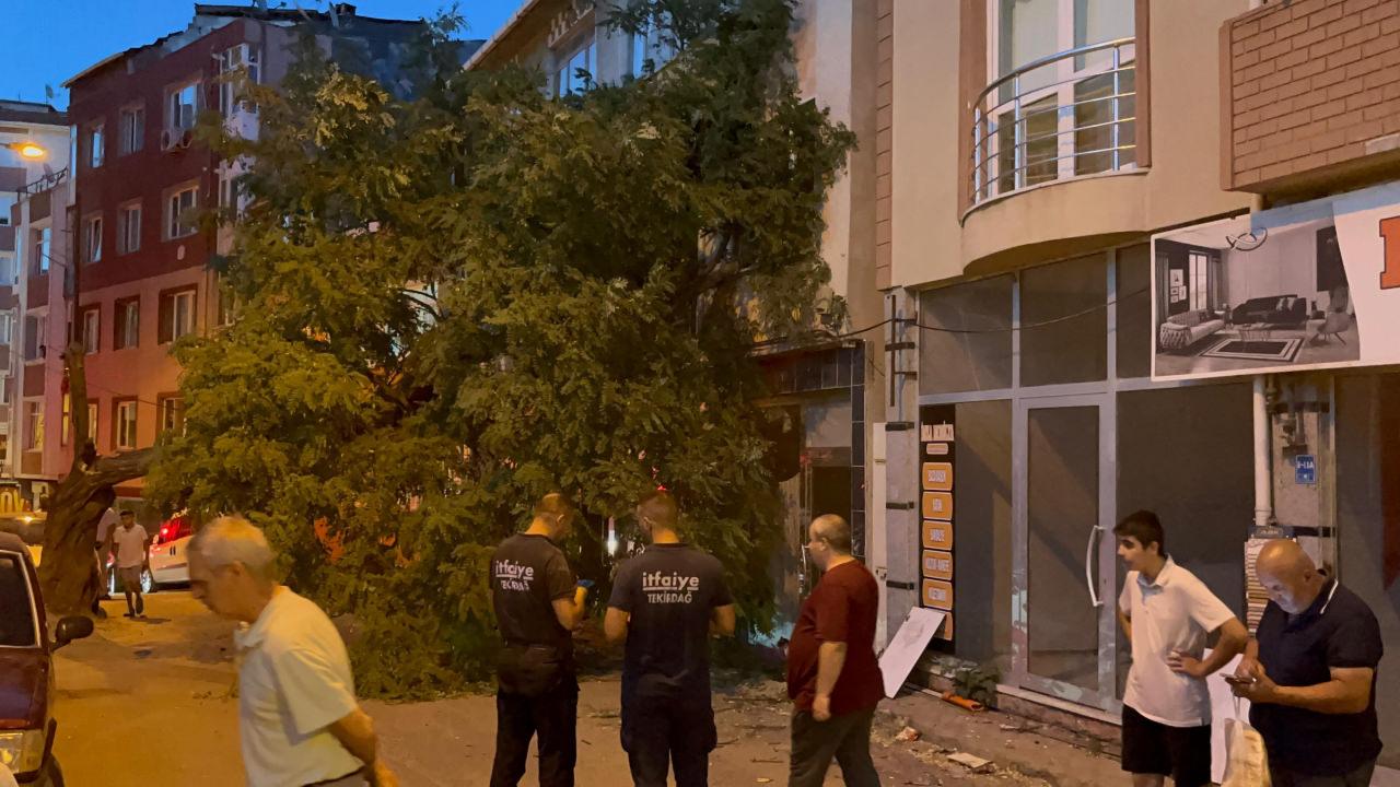 Devrilen ağacın sokaktan görünümü. 