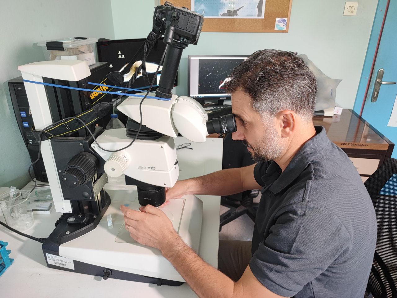 Prof. Dr. Sinan Mavruk