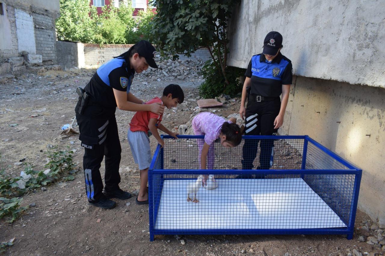 Cudi (9) ve Mirhat Abdulfattah (7) kardeşler ördekleri besliyor.
