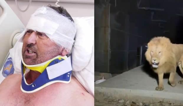 Aslanın saldırdığı çiftçi taburcu edildi: Hakkımı helal ederim