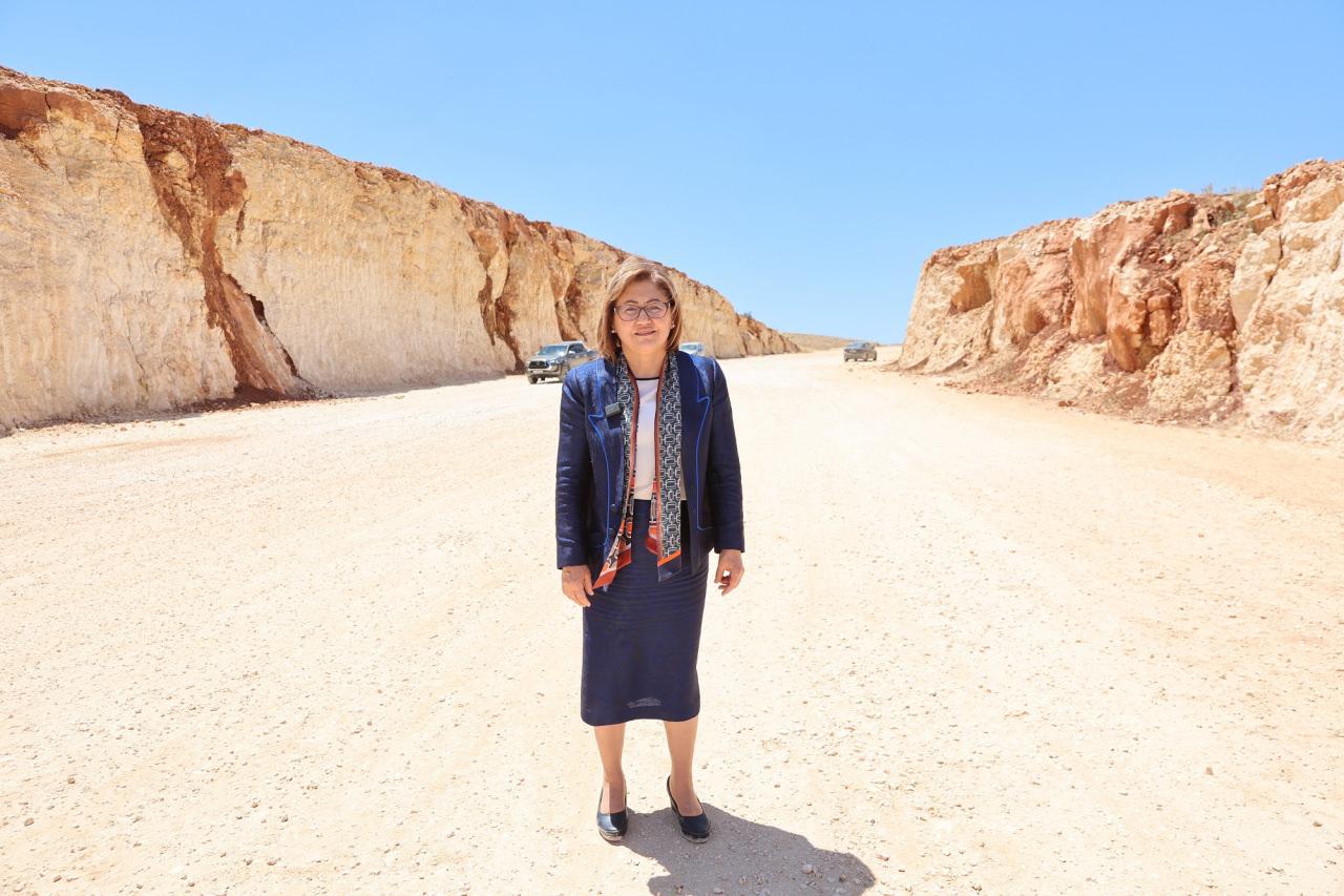 Gaziantep Büyükşehir Belediye Başkanı Fatma Şahin