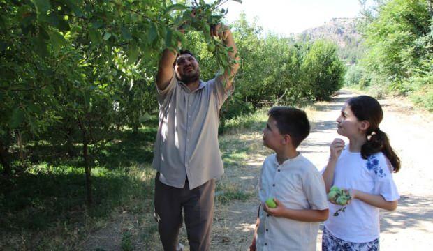 Elmaları satmayıp bahçesine gelenlere ikram ediyor