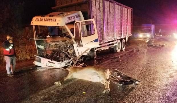 Yola çıkan geyik dehşeti yaşattı: 1 ölü, 1 yaralı!