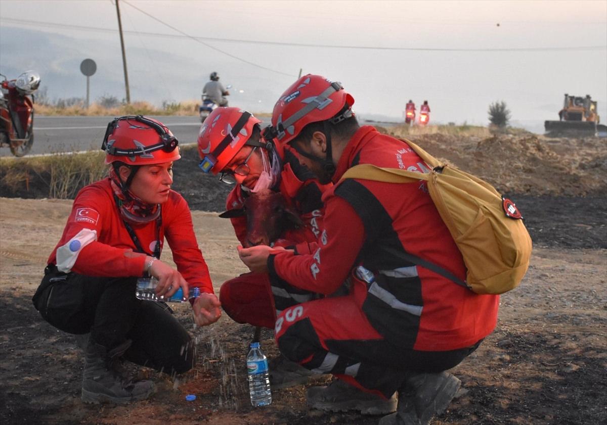 Koyunun kurtarılmasından sonra çekilen fotoğraflar