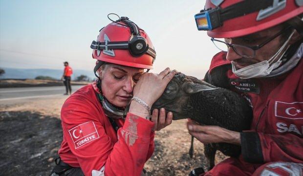 Gelibolu yangınında yürekleri ısıtan görüntü! Ekipler koyunu önce kurtardı sonra sarıldı