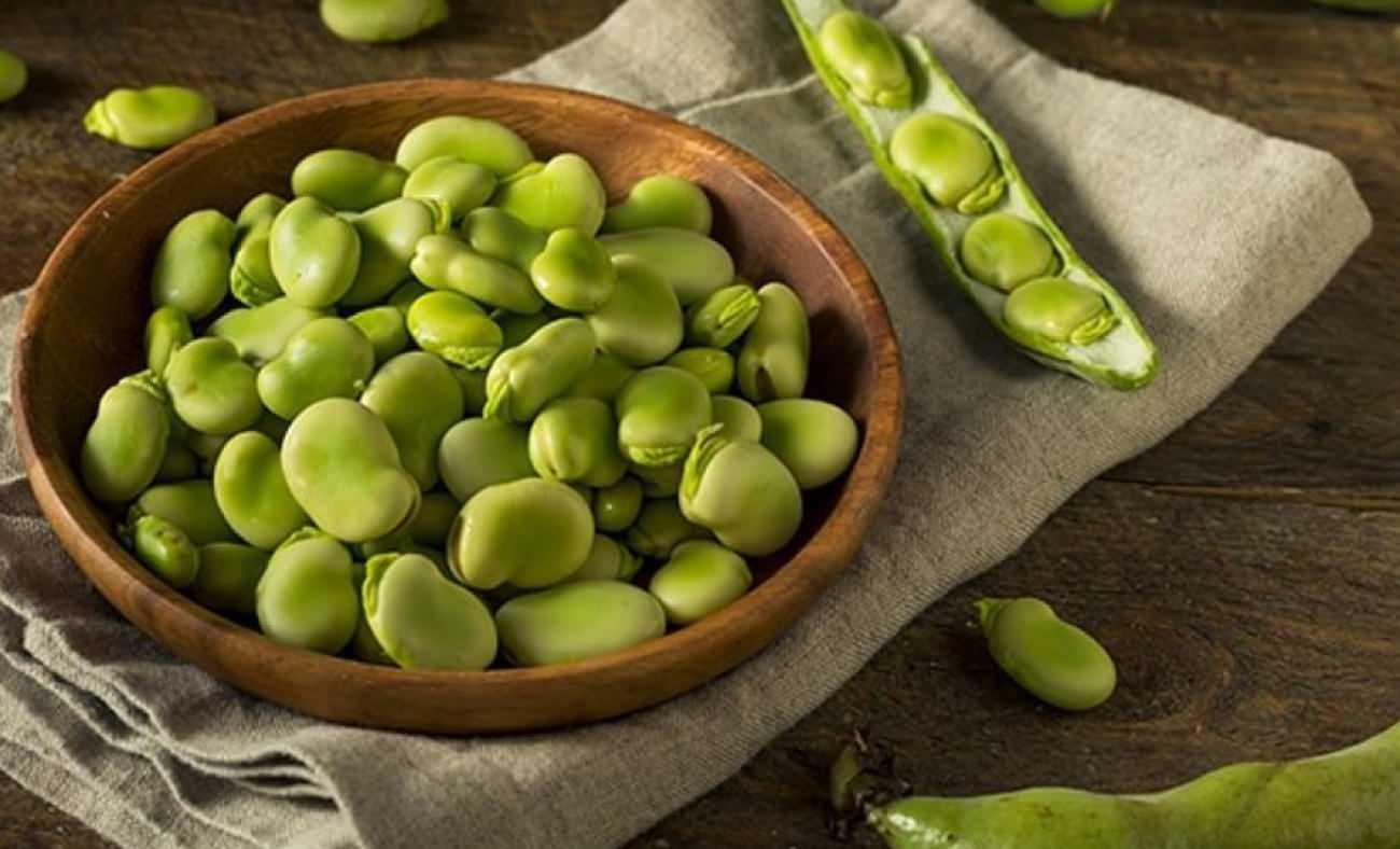 Yaz mevsiminin en faydalı yeşili! Bakla pankreasın yıpranmasını engelliyor