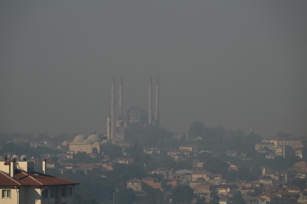 Edirne'de orman yangını yok.