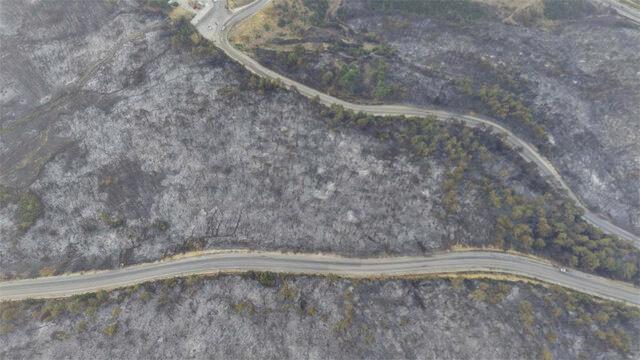 Bursa'da orman yangını sonrası