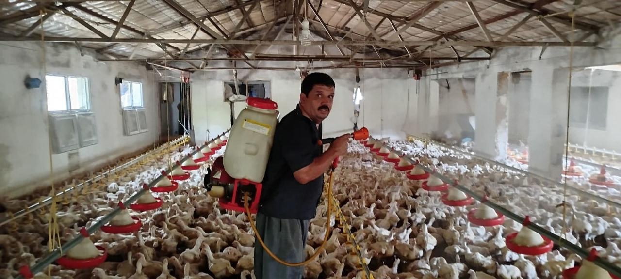 10 bin tavuk aynı yöntem ile serinletiliyor. 