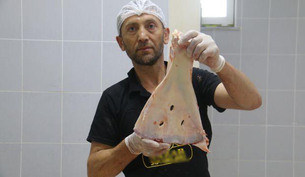 Selçuklu'dan kalma gelenek: Büyüyü engellemek için kemikleri kırıp imha ediyorlar
