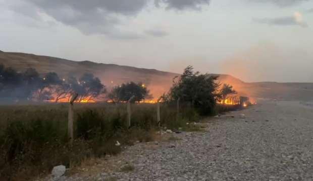 Van'da ağaçlık alanda başlayan yangın söndürüldü