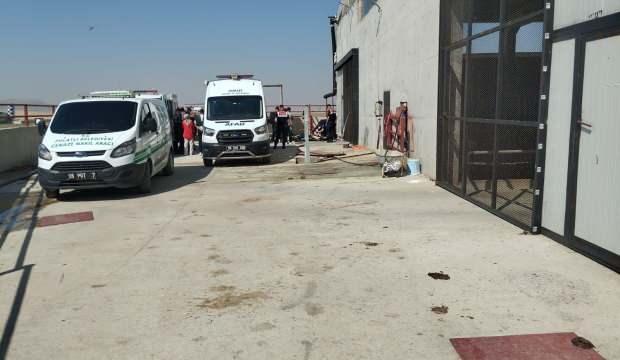 Ankara'da besi çiftliğinde metan gazı faciası: Ölüler var!