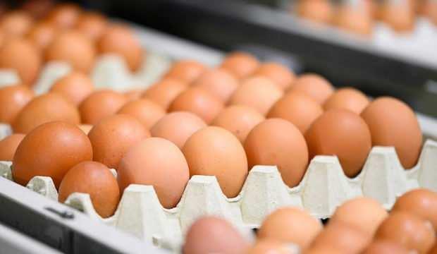 Fon kaldırıldı! Yumurta fiyatlarında ani yükseliş