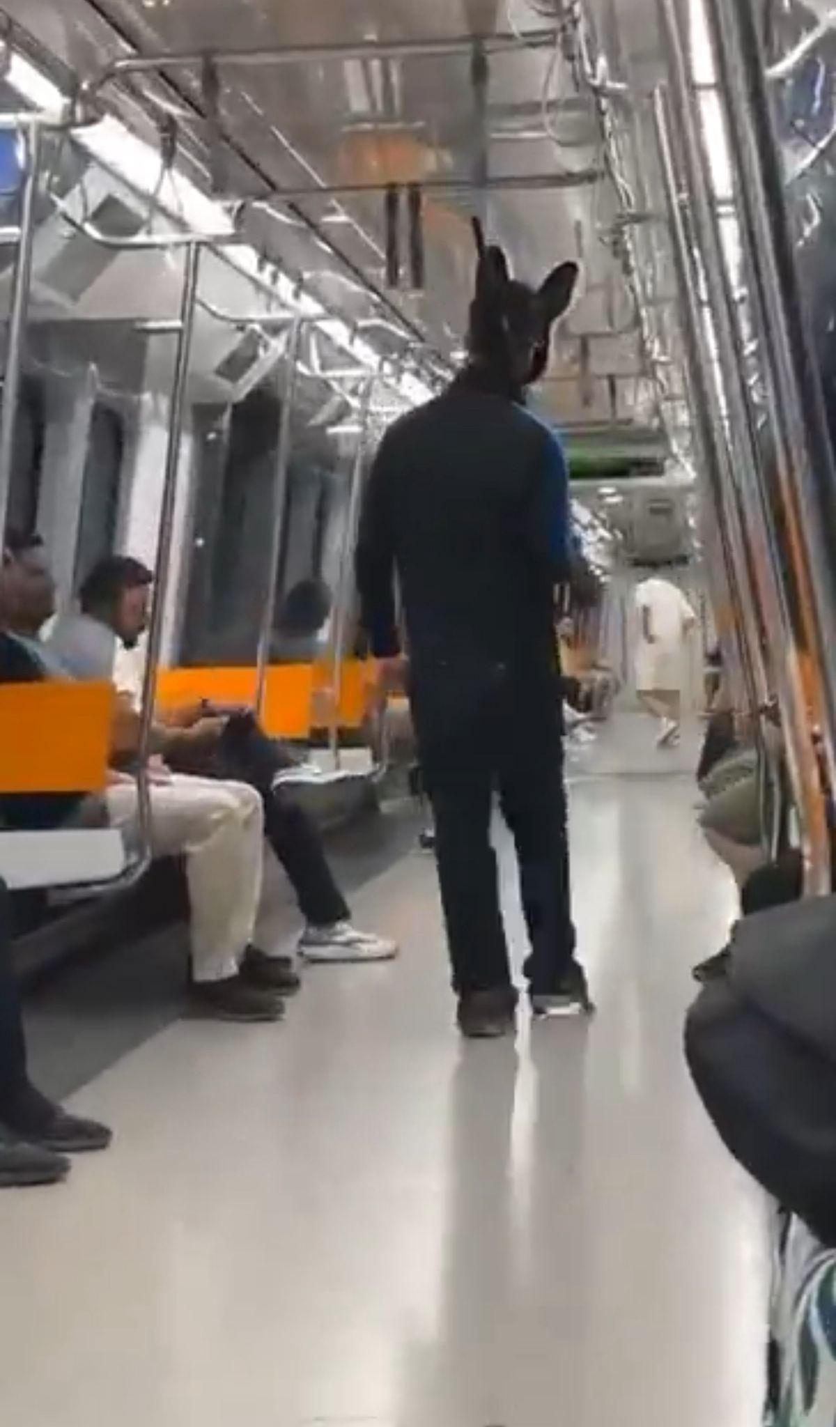 Metrodaki tüfekli tavşan
