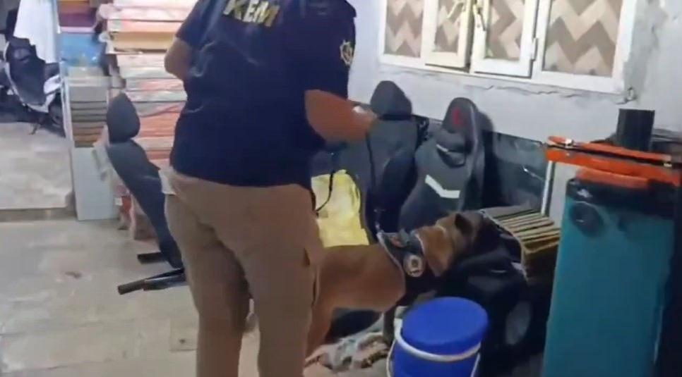 Adreslere yapılan baskınlarda köpeklerle arama yapıldı. 