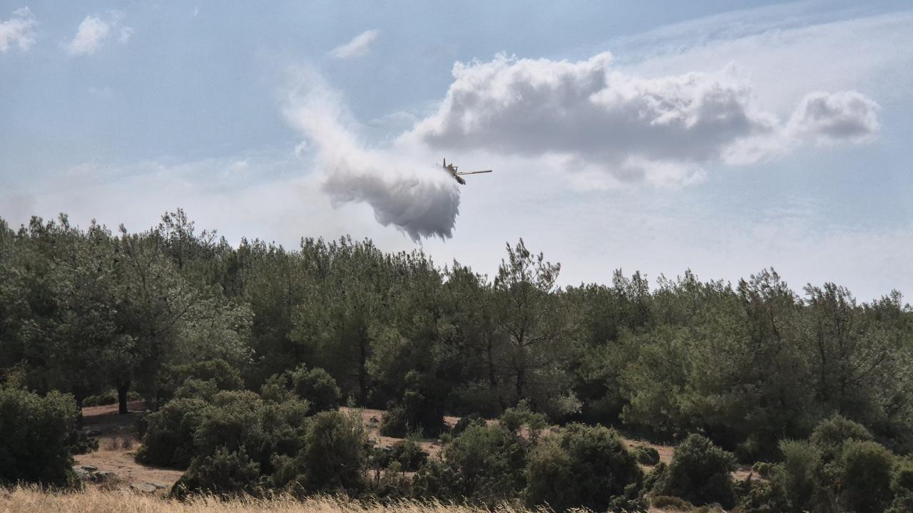 Edirne'de orman yangını