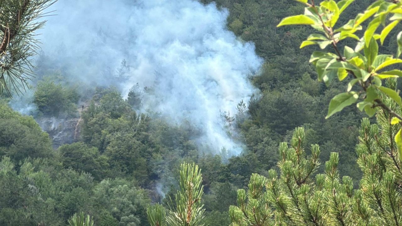 Bolu'da orman yangını
