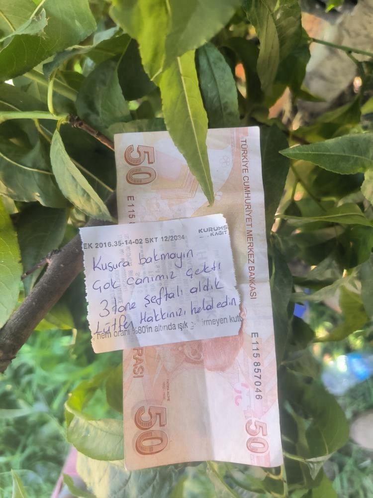 Şeftali ağacında bulunan not.
