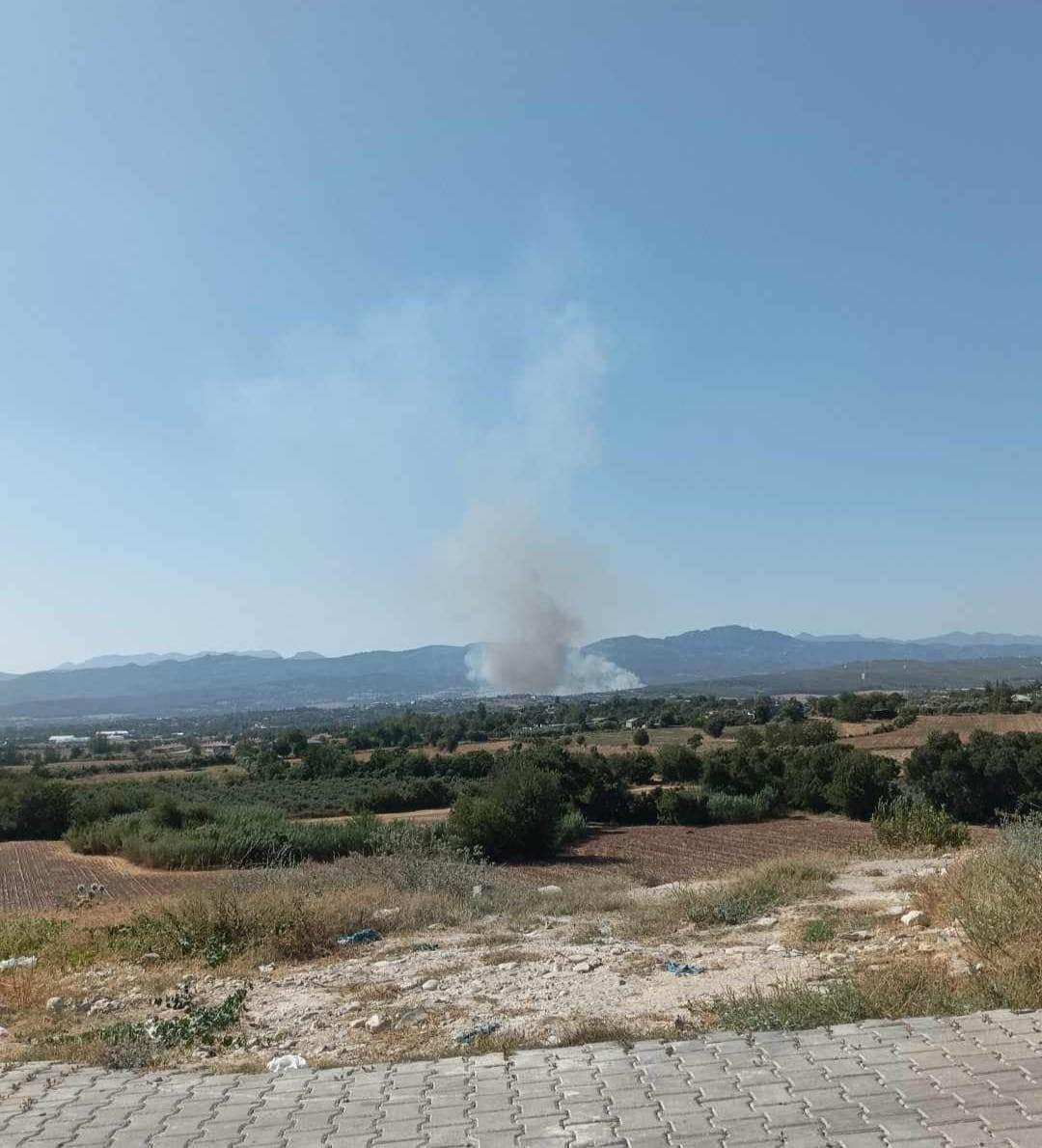 Osmaniye'deki orman yangınından görüntü