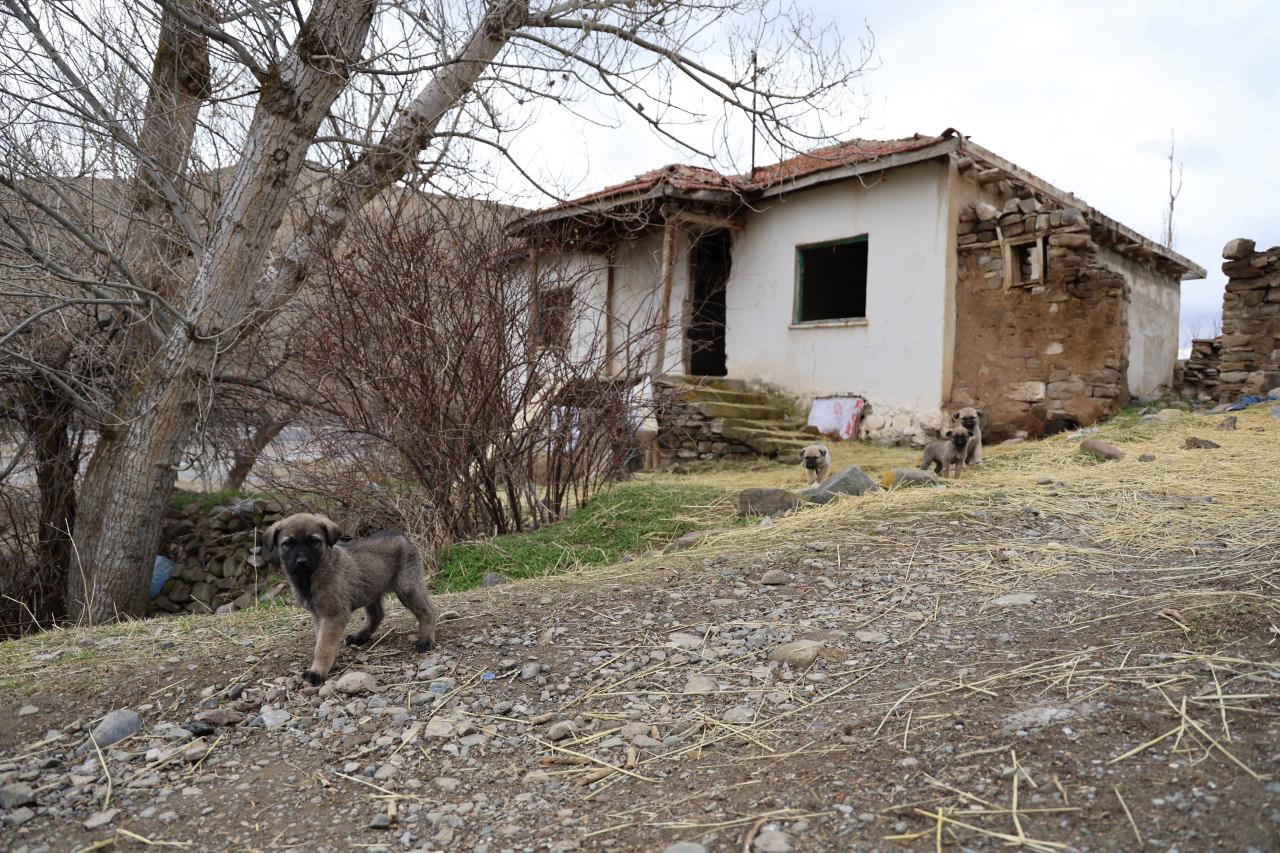  Kışla köyü sakinleri 15 yıl önce köylerini terk etti. 