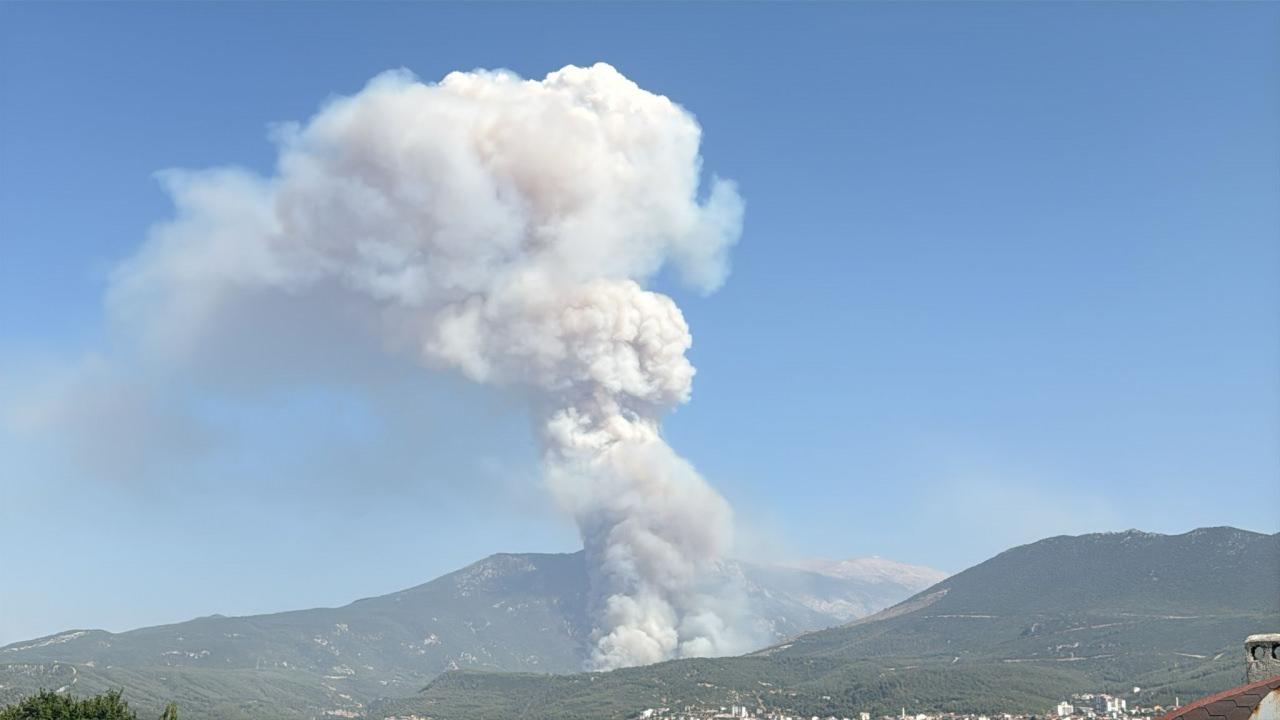 Orman yangınından görüntü